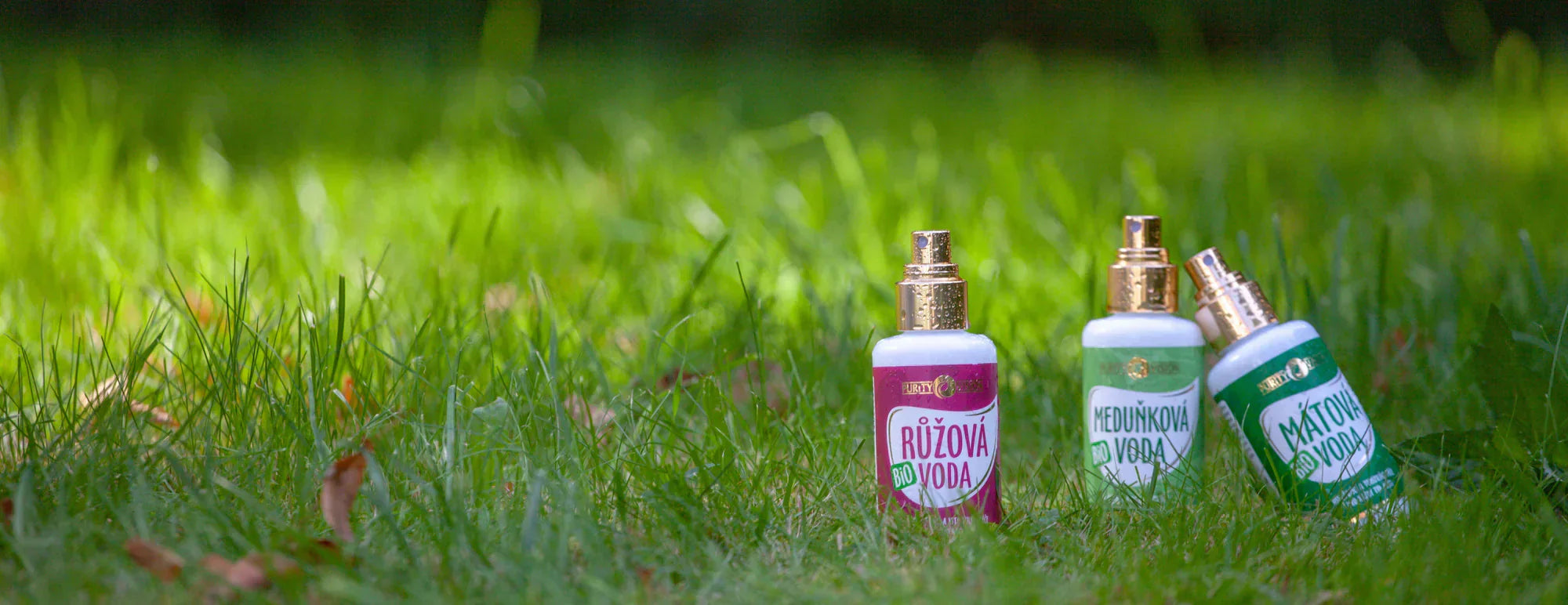 6 Reasons Why You Should Use Floral Waters
